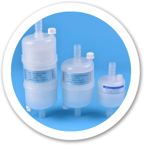 Customizable Capsule Filters Tailored for Specific Needs