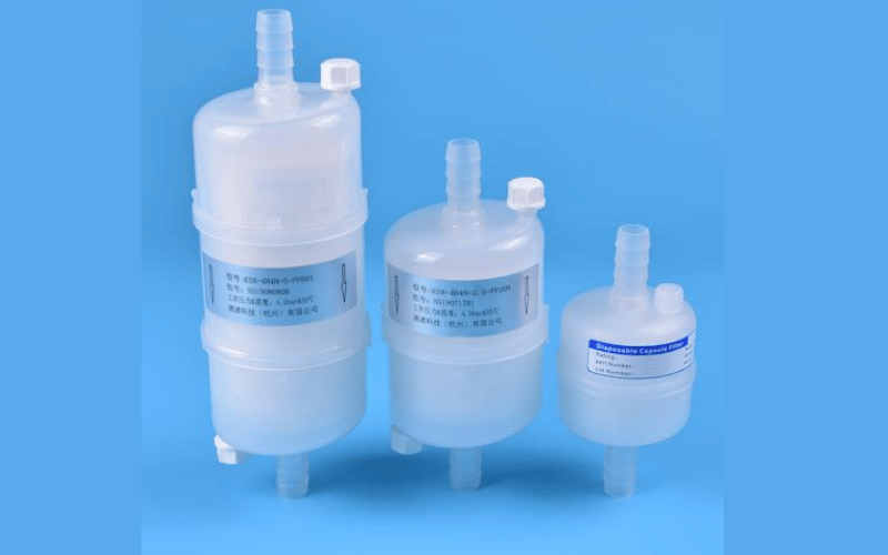 Key Elements of a Capsule Filter