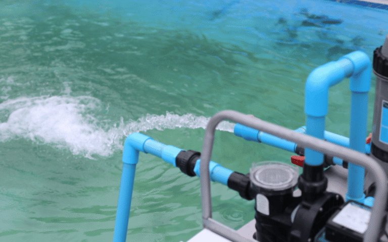 Removing Chlorine and Chloramine from Water